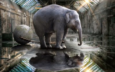 Facing the Elephant in the Room: Your E*** Strategy Can’t Wait!